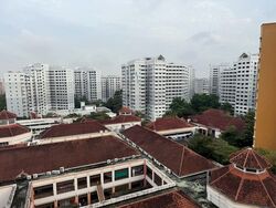 Hougang Green (D19), Apartment #525911881